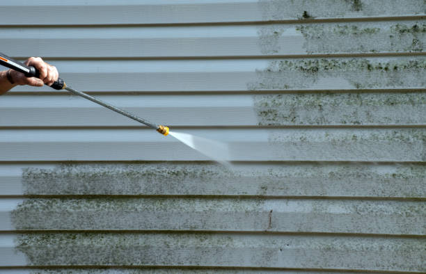 Best Sidewalk and Walkway Pressure Cleaning in Union Springs, NY